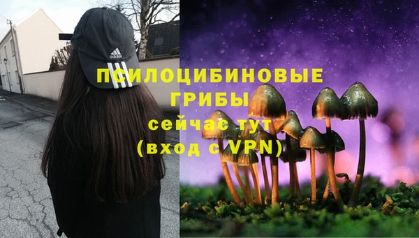 МДМА Бежецк