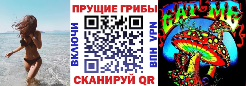 Псилоцибиновые грибы прущие грибы Кола
