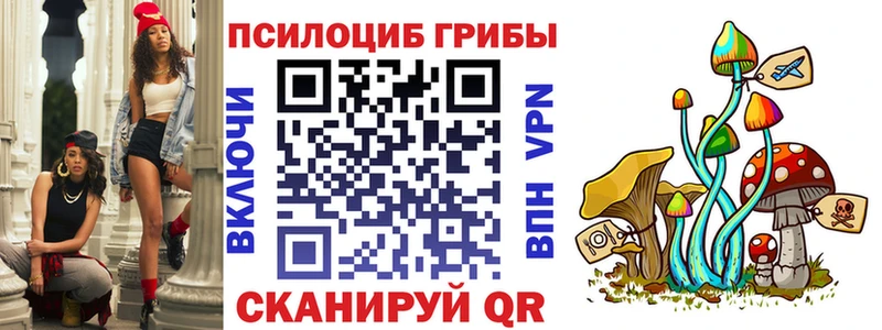Псилоцибиновые грибы мицелий  купить  сайты  Кола 